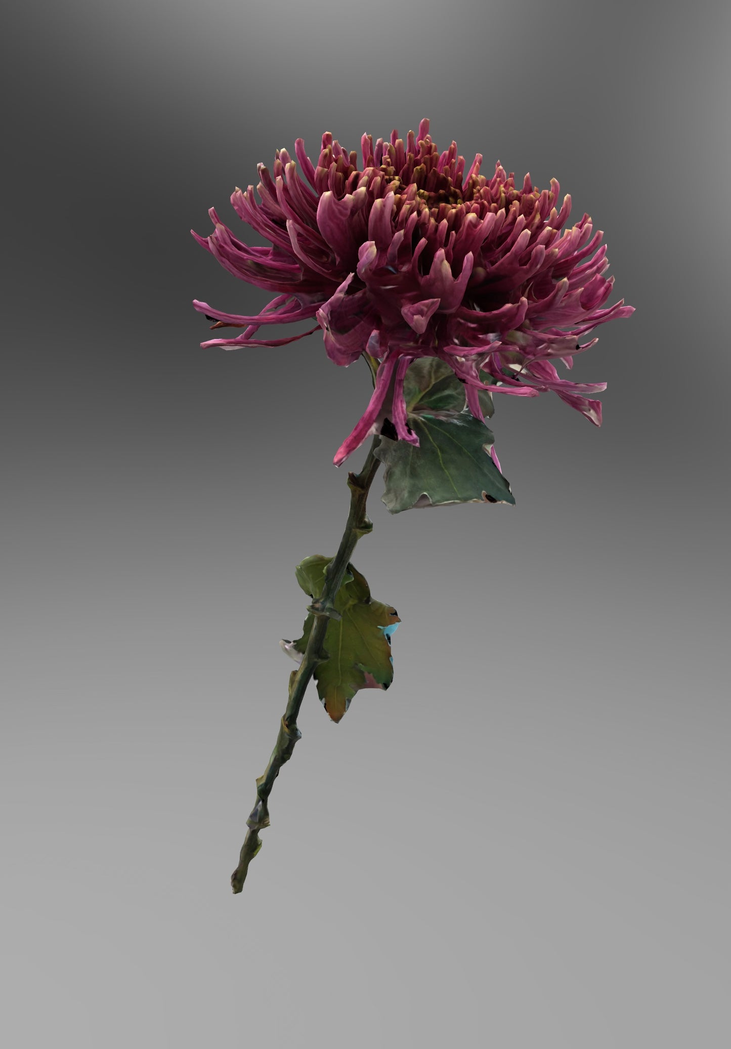0033 - Digital flower